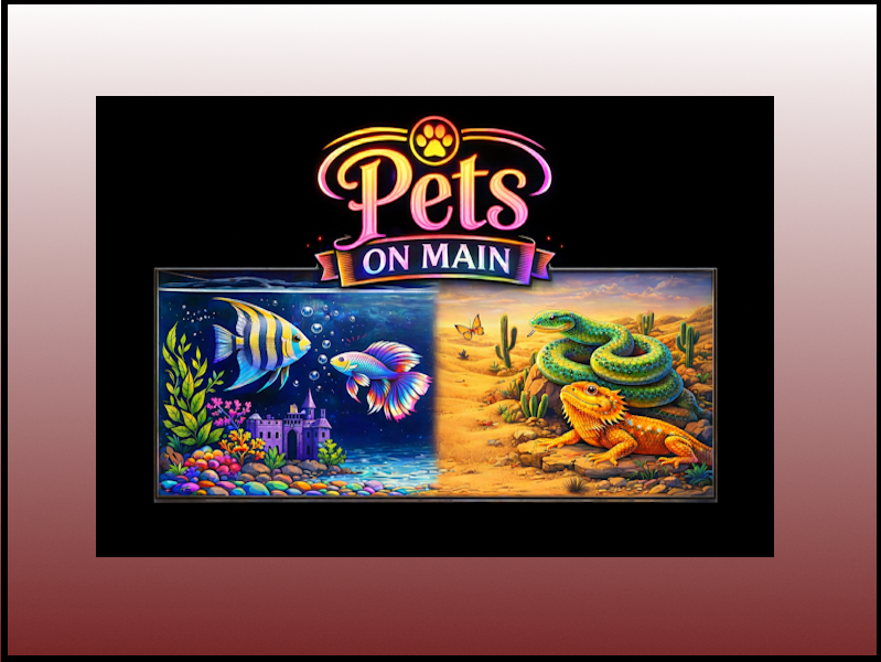 Logo-Pets on Main
